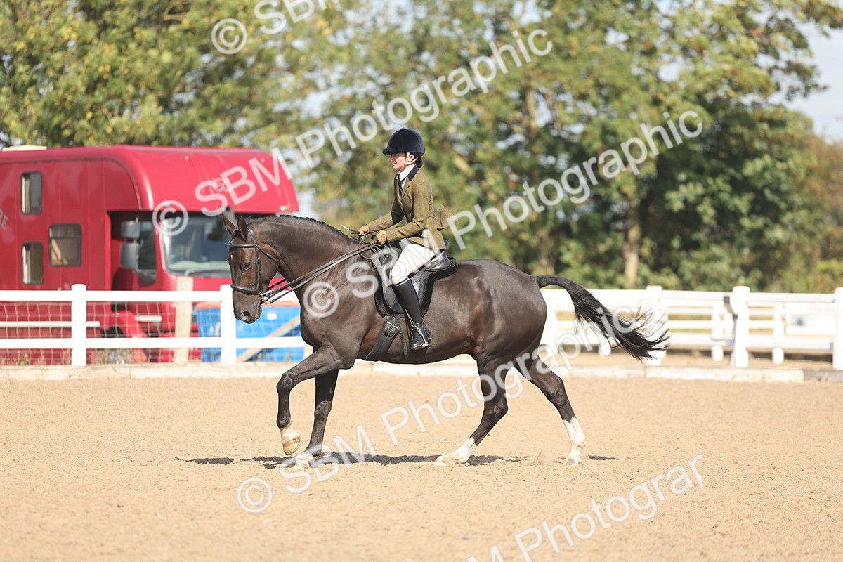 SBM_22660 - Class 805 - Ridden Veteran Horse