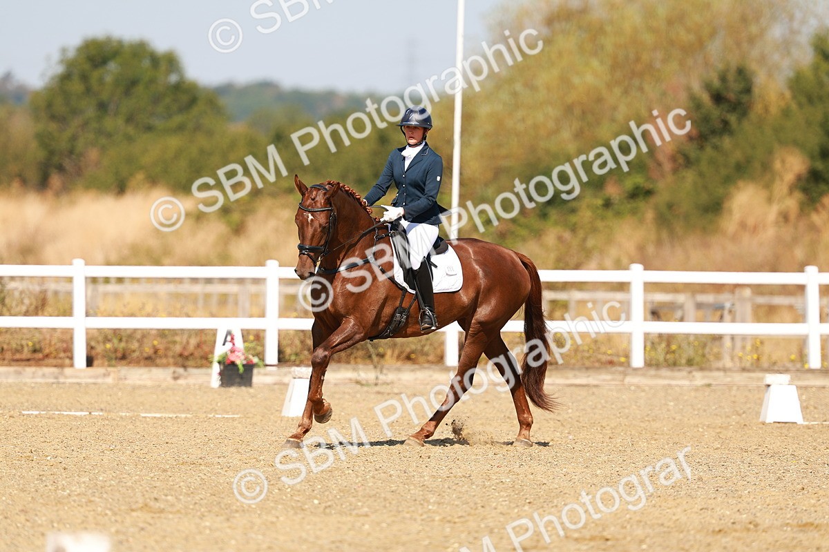 SBM_017540 - Class 9 - N5 Bronze 10.33.11.36