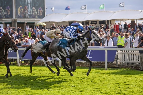 250823-Race 7-Silver Sword-5986 - Race 7 5.15pm Sky Bet Mile Handicap