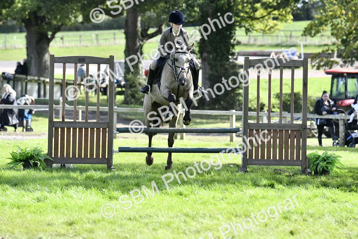 SBM_45720 - S33 - Working Hunter Pony
