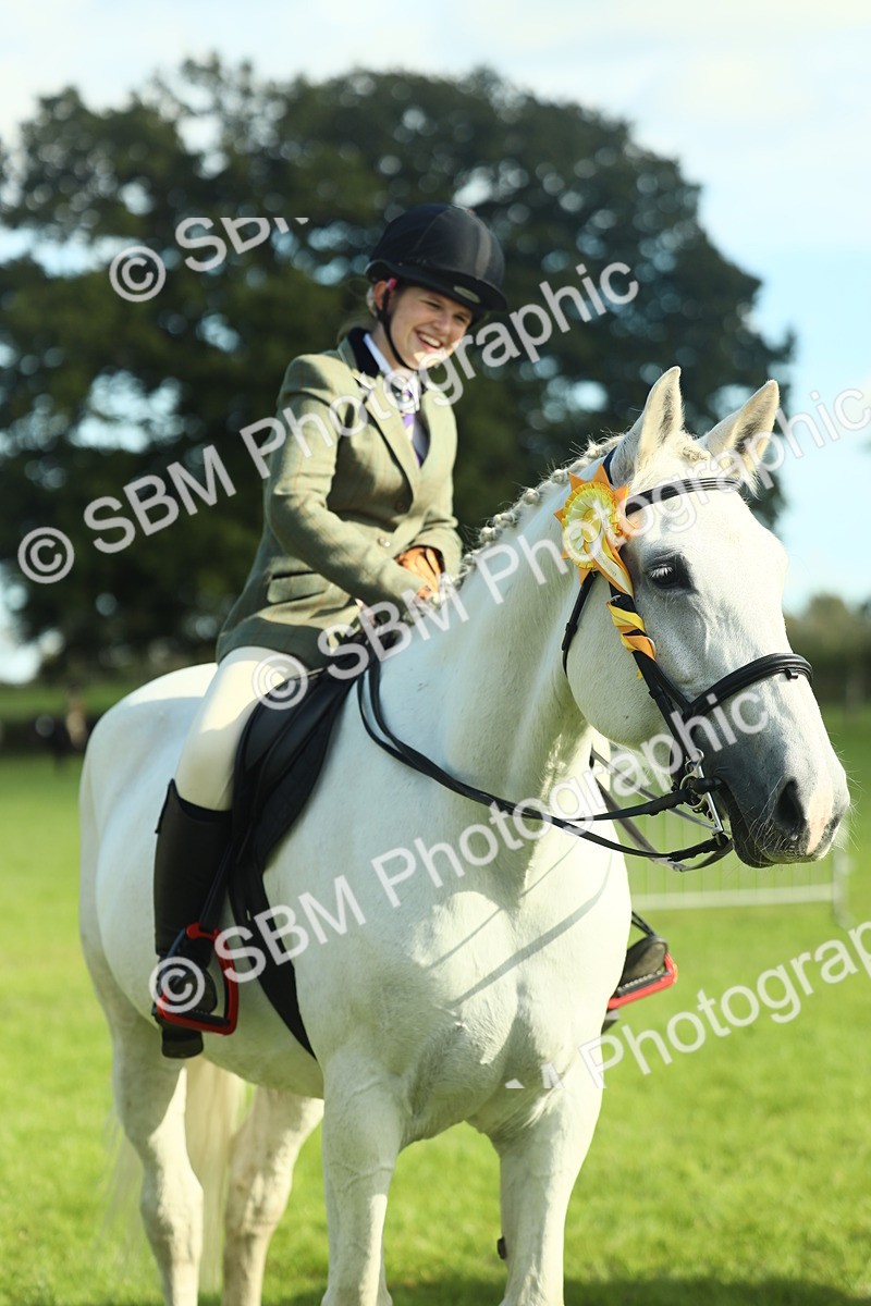 SBM_49933 - S32 - Novice & Newcomers Working Hunter