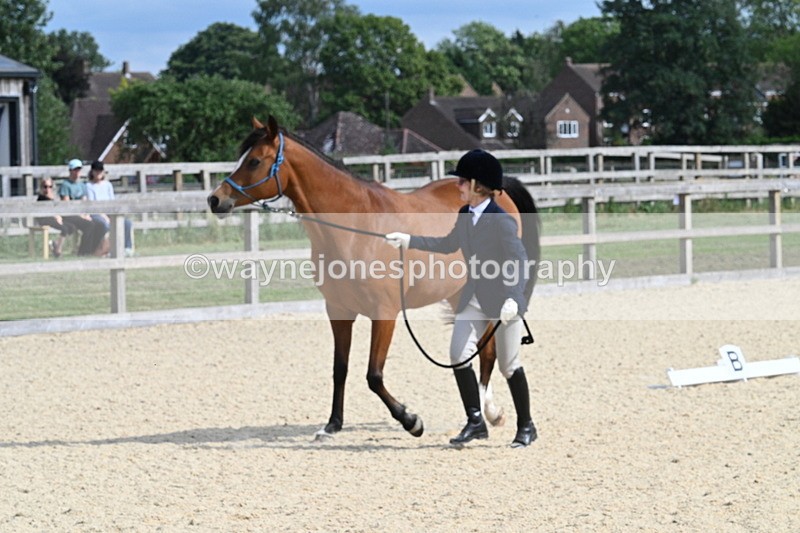 WJ7_8261 - Time 16:10 to 16:25