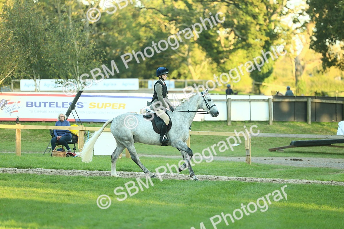 SBM_56469 - S14 - Riding Club Horse