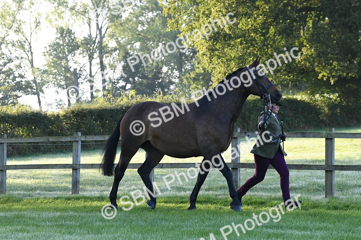 SBM_32588 - S15 - Condition & Turnout In Hand
