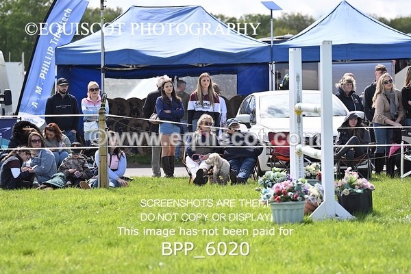 BPP_6020 - CLASS 3 ANDREW HAMILTON RHS FOX CHAMP QUAL