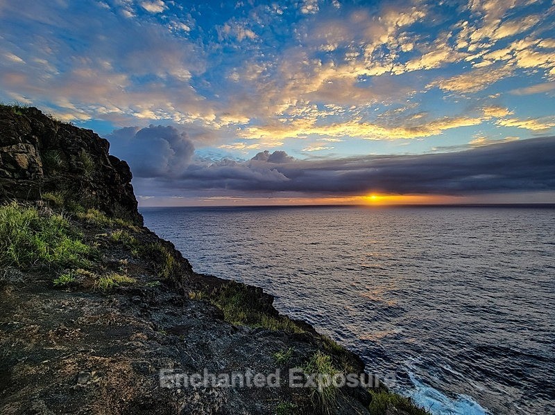 PSX_20230225_165426 - Landscapes