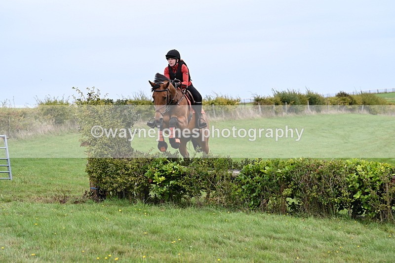 WJ7_8246 - Time 12:00 to 12:21