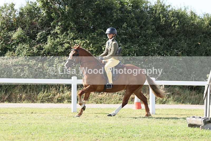 JPP_2979 - Class 20: Working Hunter 70cm