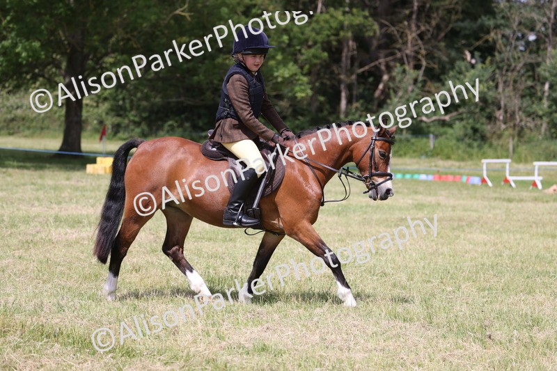20260614-1765 - Class 21 - Novice Working Hunter Pony