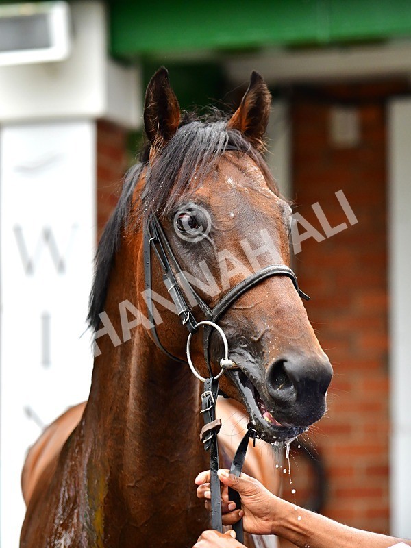 170625-Race 5-Blue RC-4067 - Race 5