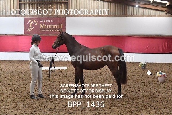 BPP_1436 - MORNING 9AM - 12PM