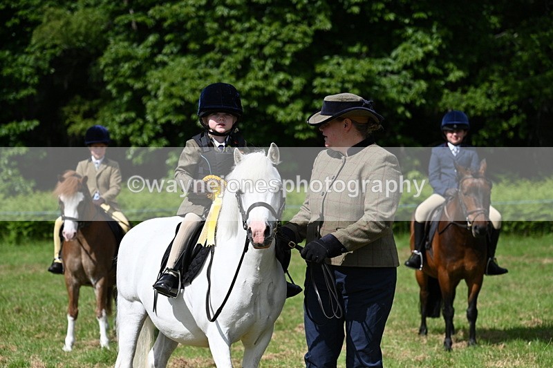 WJ7_0838 - Class 8 First Rally Pony