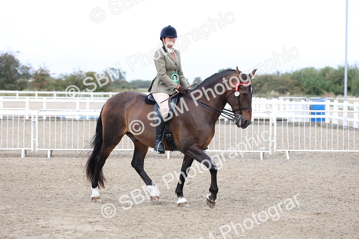 SBM_01451 - Class 51 - Best Turned Out Ridden