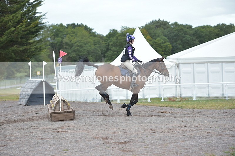 NGP_2671 - XC Time 11:37 to 11:57