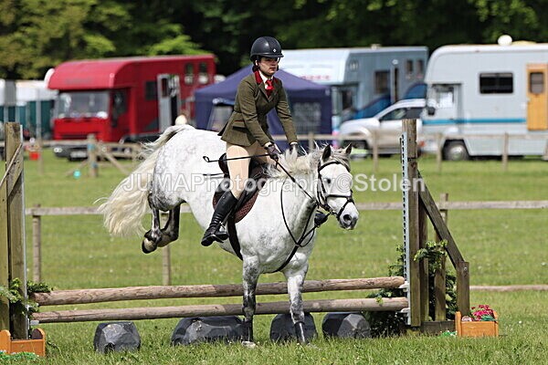 IMG_3118 - Working Hunter