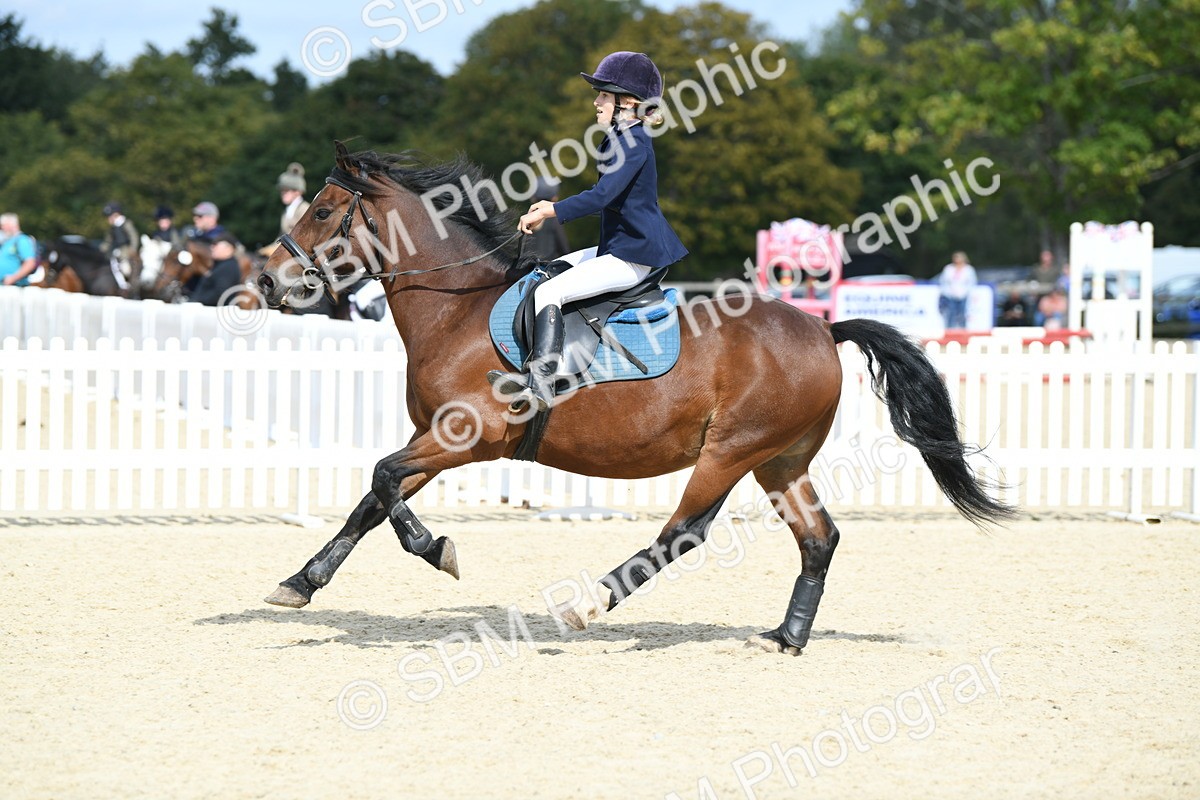 SBM_64838 - J48 - Pairs Jumping Open 70cm & 85cm