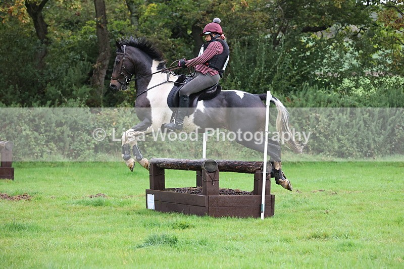 JPP_5408 - Class 4: 80cm: Crossed Logs