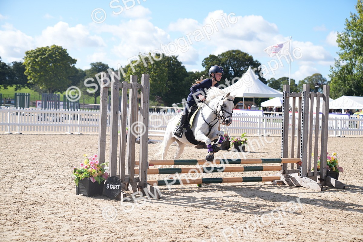 SBM_02500 - J54 Clear Round 45cm