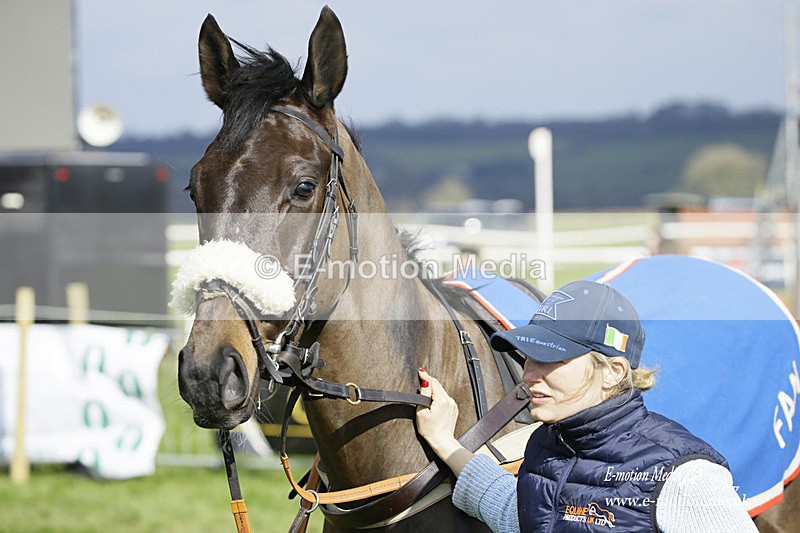 PtP 060322 133 - Blackmore & Sparkford Vale Hunt PtP 06/03/22