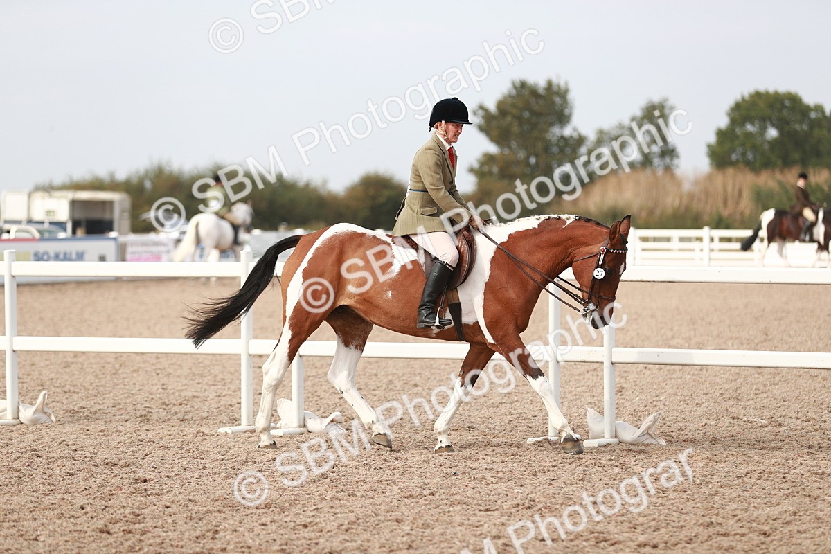 SBM_17448 - Class 215 Ridden Hack/ Riding Horse