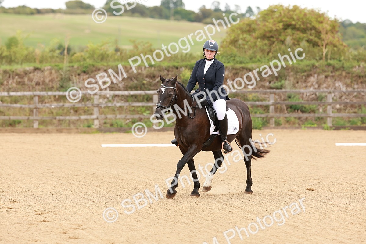 SBM_001041 - Intro 2