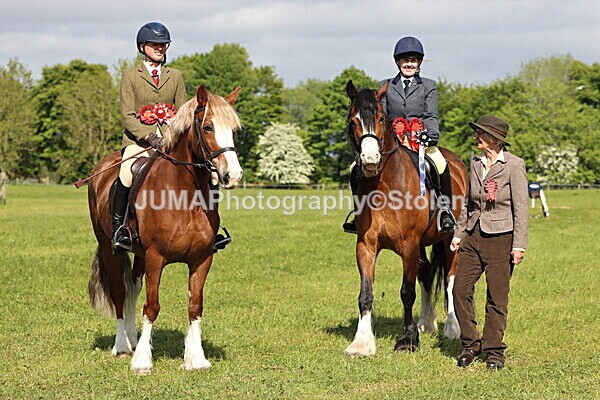 IMG_4928 - Working Hunter