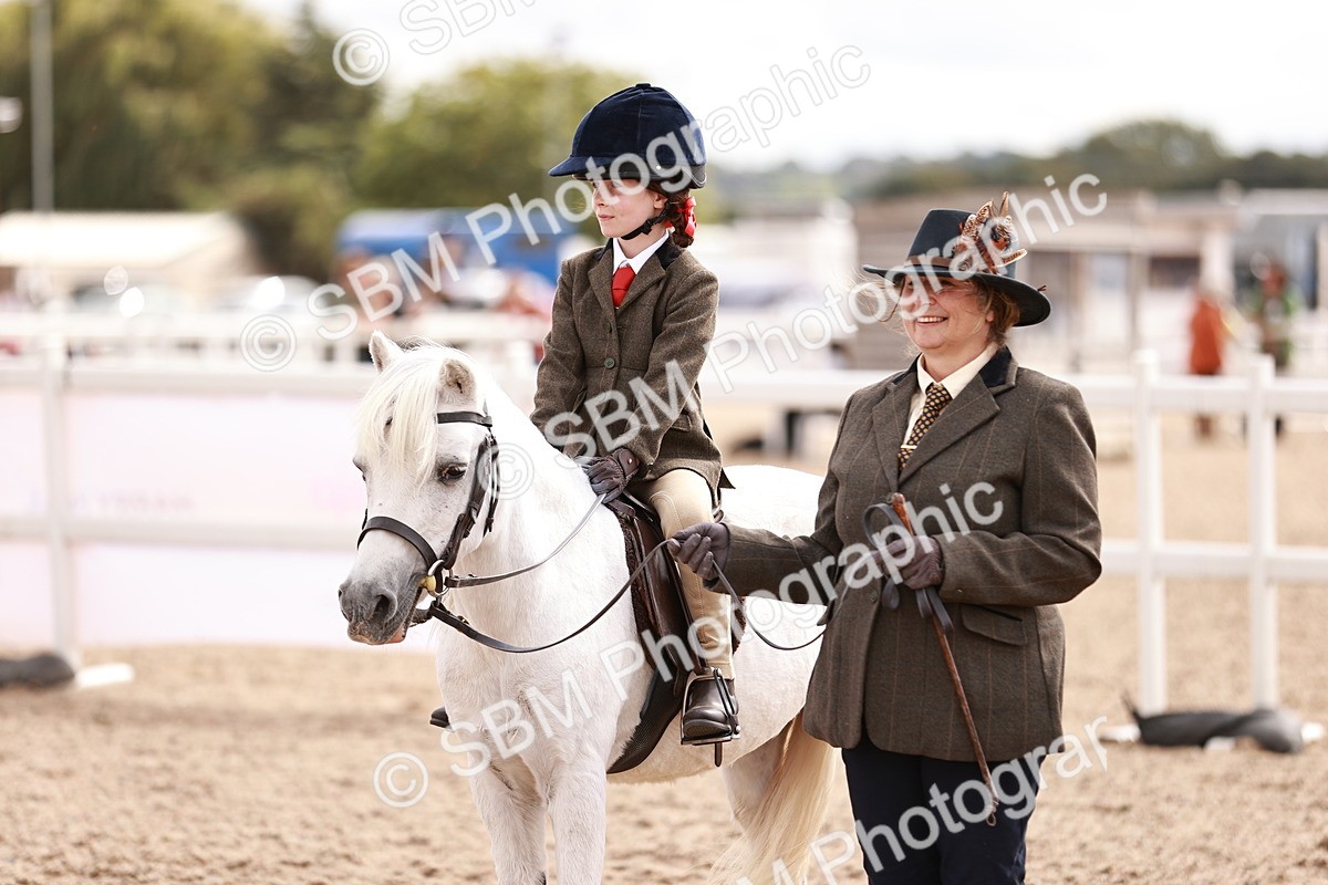SBM_18327 - Class 417 - Handsome Gelding (IH or Ridden - JNR)