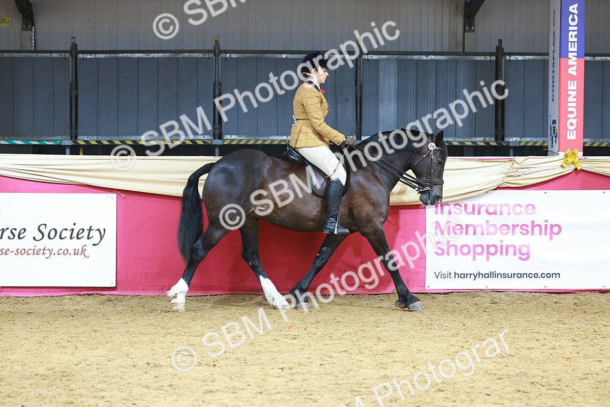 SBM_10521 - Class 103 - HOYS Veteran Qualifier - Ridden Pre Vet