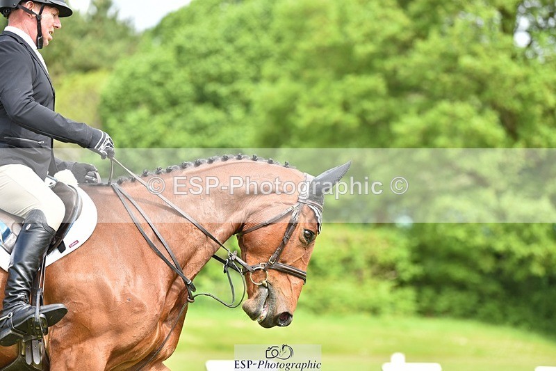 240523B-111330-01903 - 5 Year Old