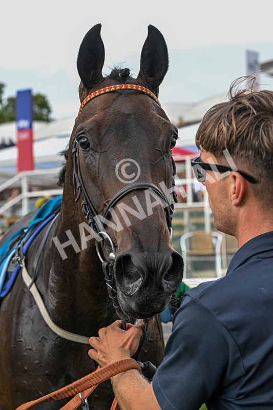 250726-Race 7-Flight Control-1379 - Race 7 16.52pm Sky Bet Extra Places Handicap