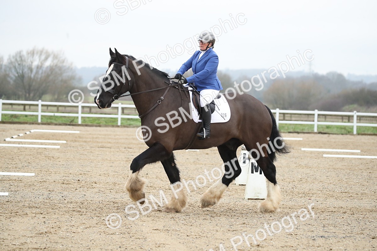 SBM_002496 - BRC Prelim A