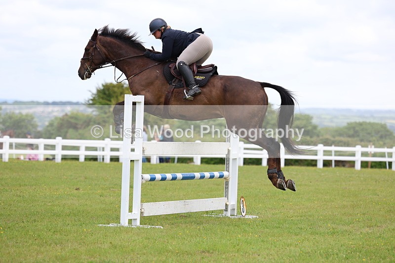 3E7A7071 - Class 12: Senior Foxhunter/1.20 open