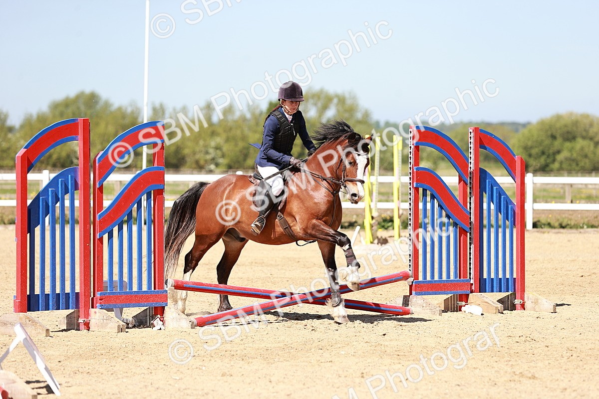 SBM_006987 - Class 2 - 50cm