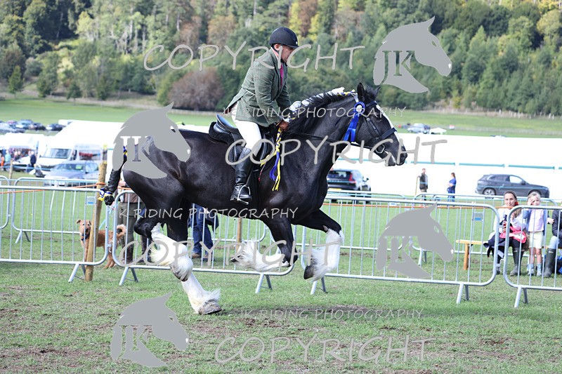 APP_3784 - Class 8 Ridden Class