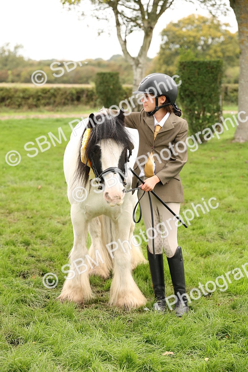 SBM_59379 - S57 - Traditional Cob In Hand