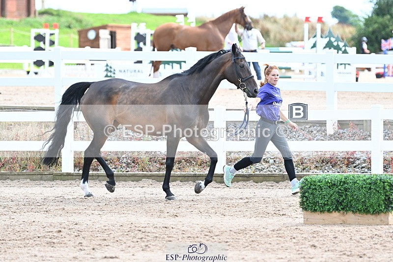 240717A-144032-02184 - Trot Up 2pm to 3pm - This folder is not in time order