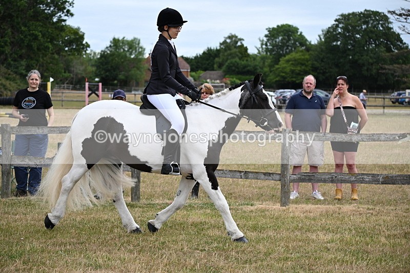 WJ6_3913 - Class 9 Tack & Turnout