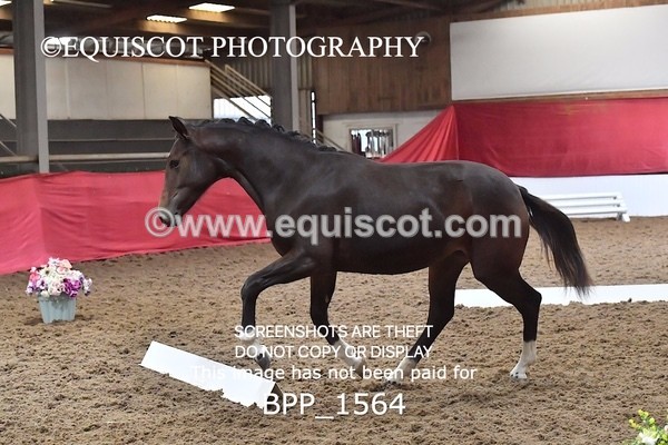 BPP_1564 - MORNING 9AM - 12PM