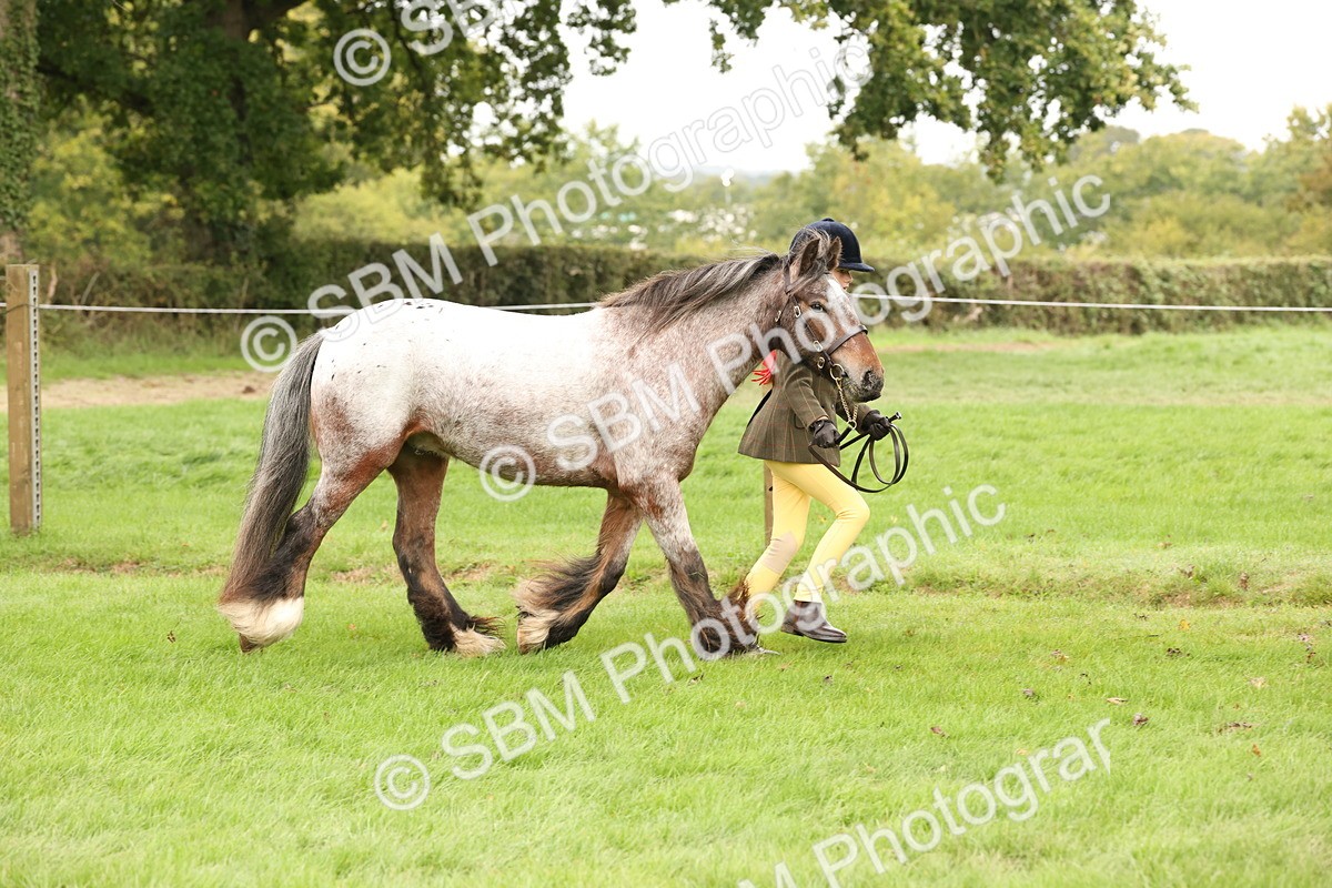 SBM_59230 - S57 - Traditional Cob In Hand