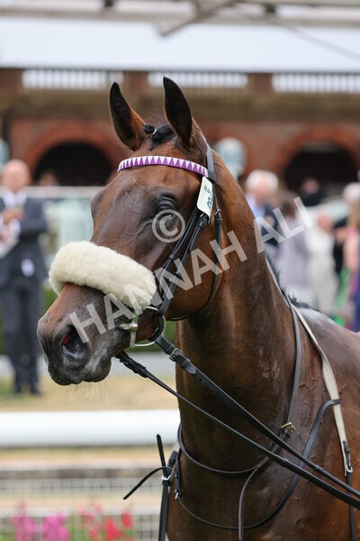 yr22072022r4-65 - Race 4 6.50pm The IRE Incentive It Pays To Buy Irish EBF Restricted Novice Stakes