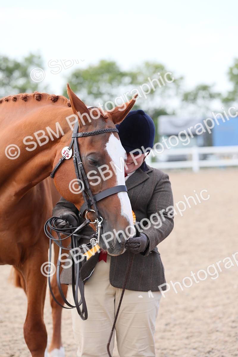 SBM_15861 - Class 312 IH Competition Horse/Pony