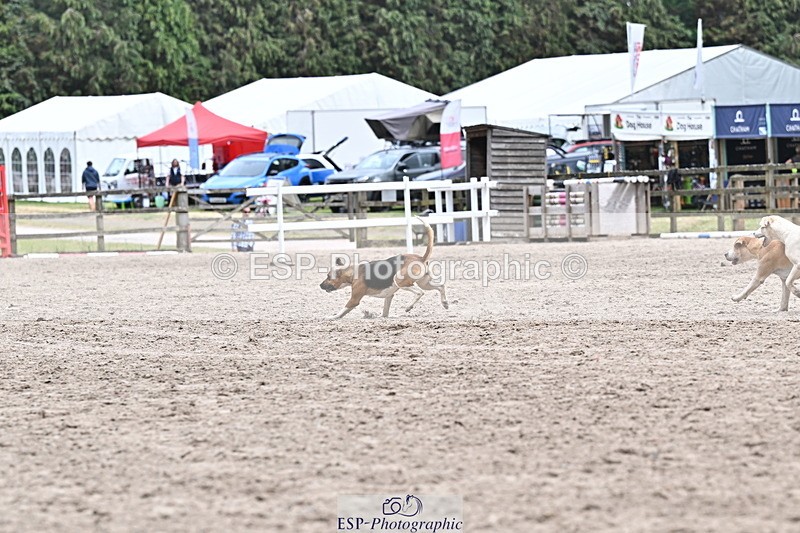250524A-152322-12717 - East Devon Hounds
