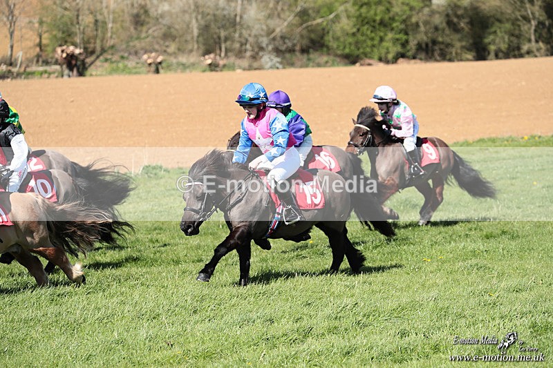 Shet 060426 298 - Shetland Pony Racing Paxford Races Easter Mon 06/04/26