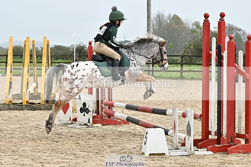241110-112844-00434 - 50-55cm Arena Eventing