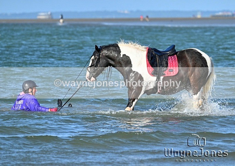 WJ7_3560_1 - Kellie & Churchill ... do Hayling Island 25-08-24