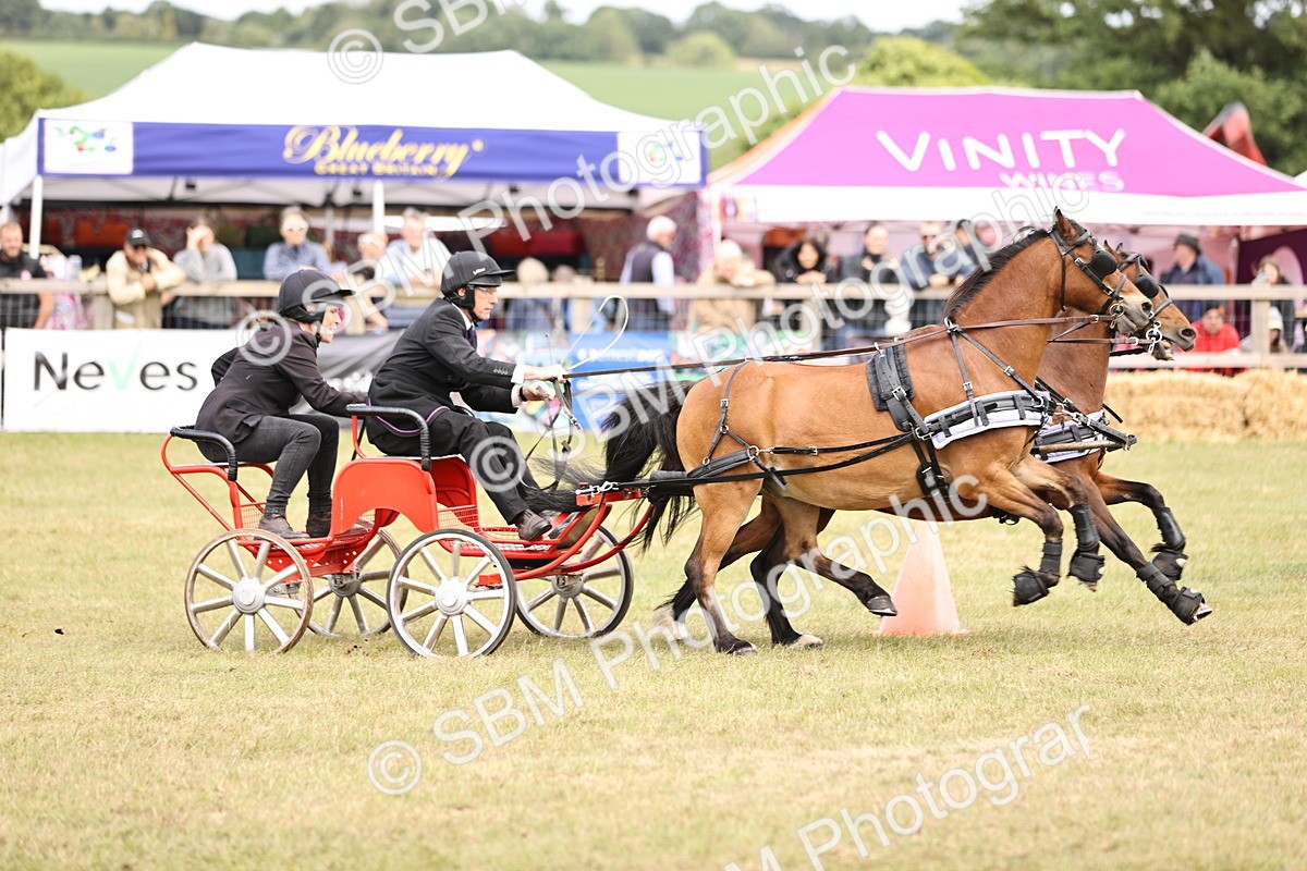 SBM_16098 - Class 91 - Scurry  exceeding 122cms