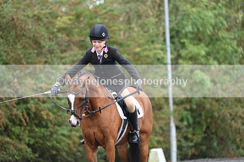 WJ7_4043 - Time 11:04 to 11:38