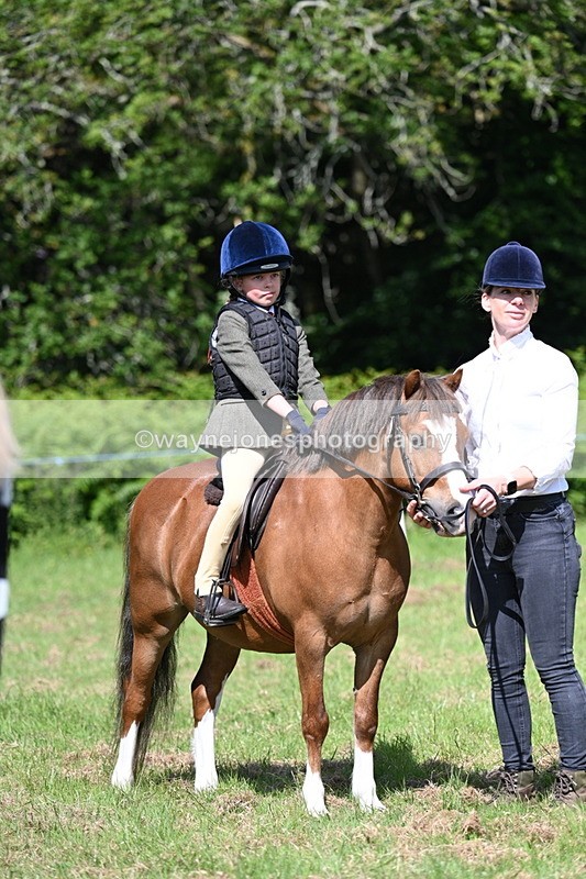 WJ7_0778 - Class 8 First Rally Pony