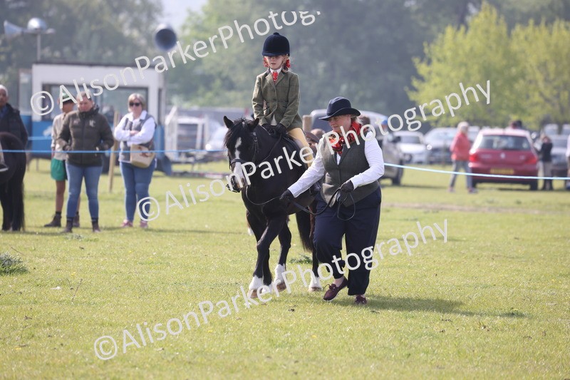 20260426-0350 - Class 30 - Tiny Tots Lead Rein