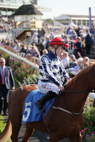 yr08102021r2-7 - Race 2 2.40pm Racing to School EBF Novice Stakes